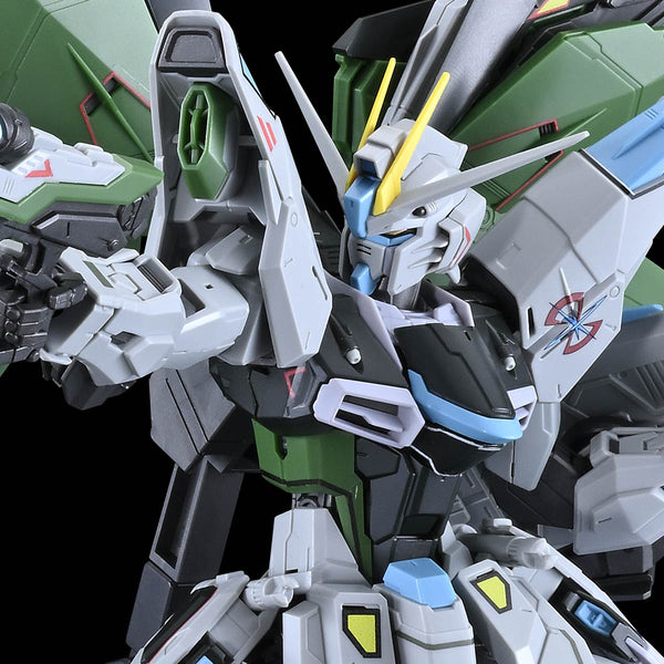 MG ZGMF-X10A Freedom Gundam Ver.2.0 [Real Type Color]