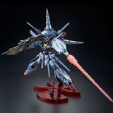 MG ZGMF-X13A Providence Gundam [Special Coating]