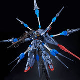 MG ZGMF-X13A Providence Gundam [Special Coating]