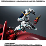 Robot Spirits Neo Zeong Final Battle Set & Metal Robot Spirits Sinanju Real Type Marking