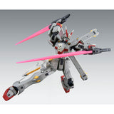 MG XM-X0 Crossbone Gundam X-0 ver.Ka