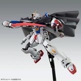 MG  XM-X1 Crossbone Gundam X1 "Patchwork" ver.Ka